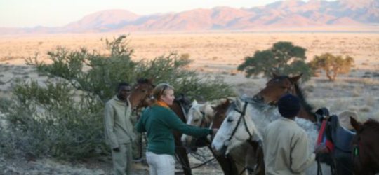 Desert Homestead Sesriam