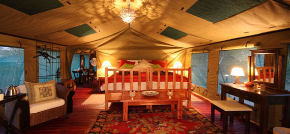 Elephant Valley Lodge