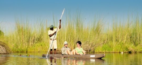 Footsteps Okavango