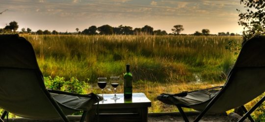 Footsteps Okavango
