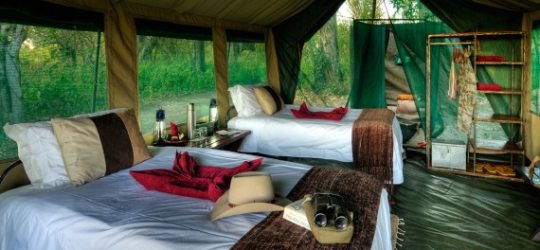 Footsteps Okavango