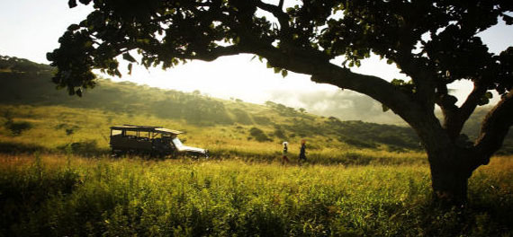 Game Drive
