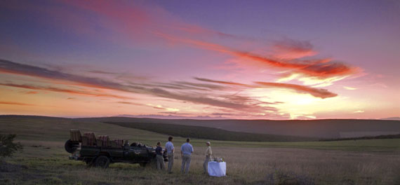 Evening game drive