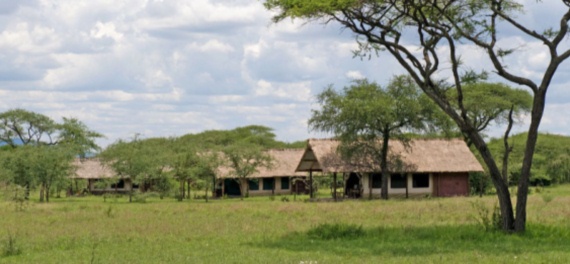 Ikoma Cam[ Serengeti