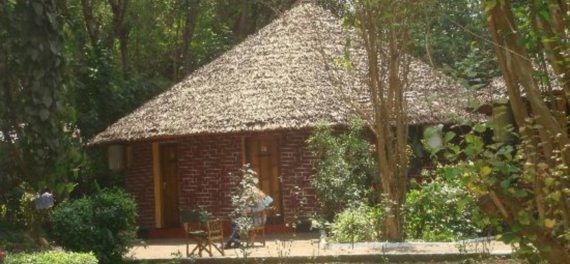 Ilboru Safari Lodge Arusha Cottage