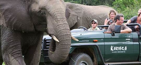 Kariega Game Reserve South Africa