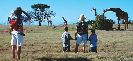 Kariega Game Reserve South Africa