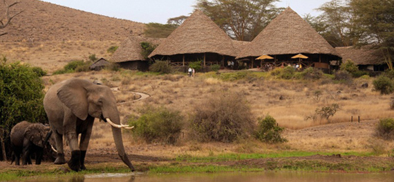 Tortilis Camp