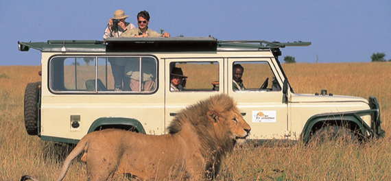 Elephant Pepper Camp - Game Drive