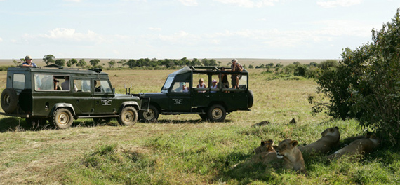 Governors' Camp - Game Drive