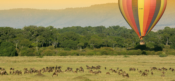 Il Moran Camp - Balloon Safari