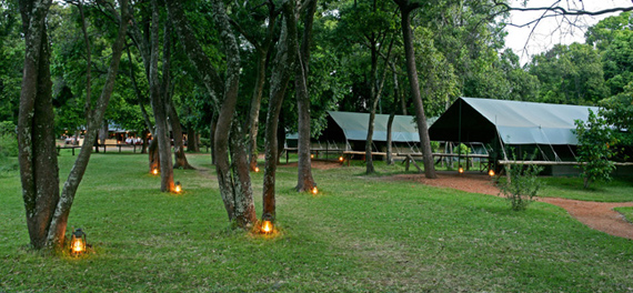 Little Governors' Camp 