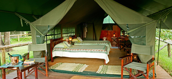 Little Governors' Camp - Guest Tent