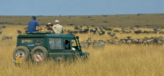 Offbeat Mara Camp - Game Drive