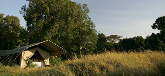 Offbeat Mara Camp