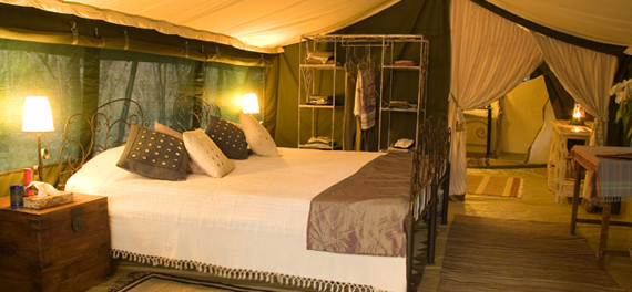 Richard's Camp - Tent Interior