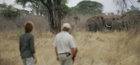 Offbeat Meru Camp - Walking Safari