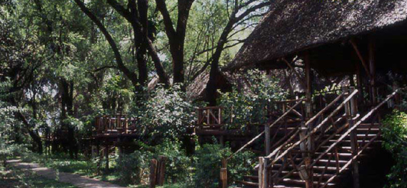 Samburu Intrepids