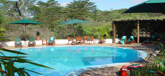 Finch Hatton's - Swimming Pool