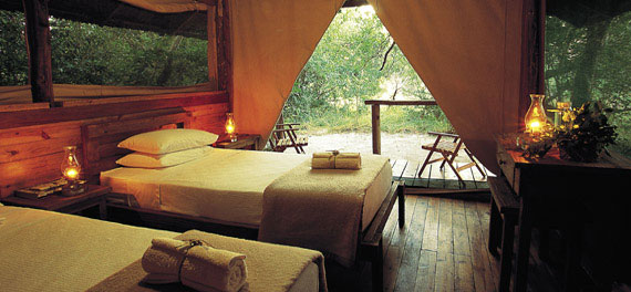 Room at Kosi Forest Lodge