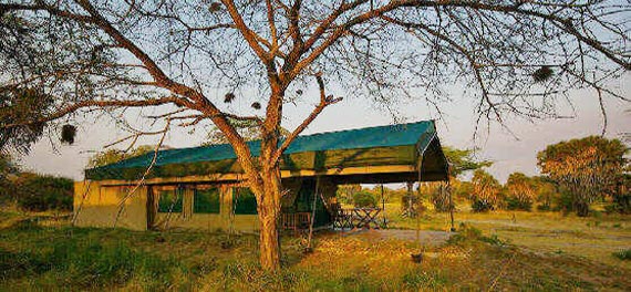 Tent