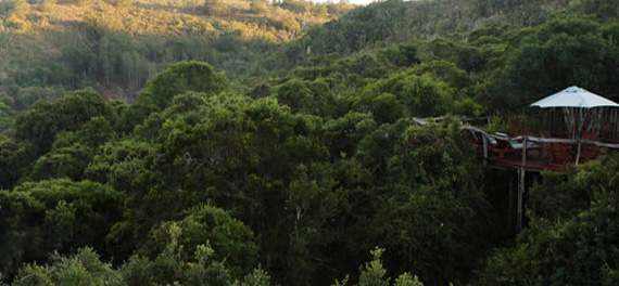 Lalibela Canopy