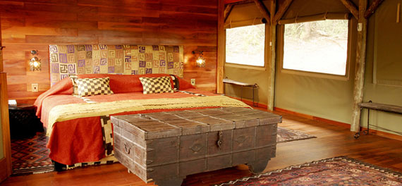 Treetop's Camp, Lalibela