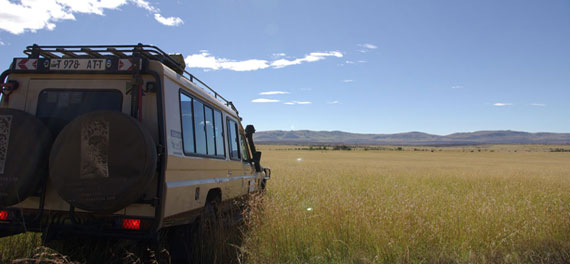 lemala game drive
