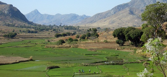 Madagascar