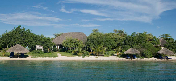 Quilalea