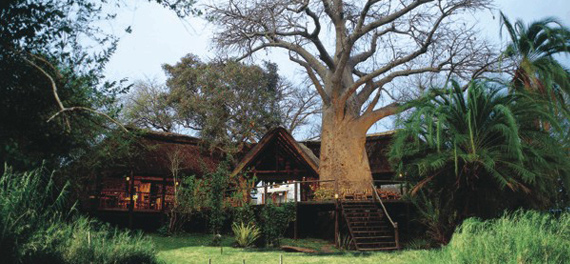 Impalila Island Lodge