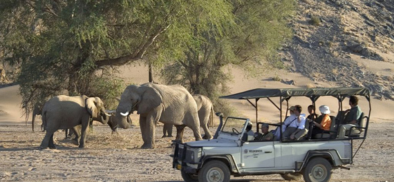 Damaraland Camp - Game Drive