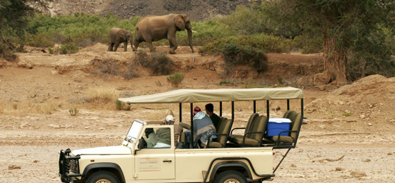 Dora Nawas - Game Drive