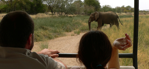 Huab Lodge - Game Drive