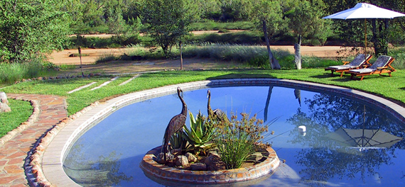 Huab Lodge - Swimming Pool