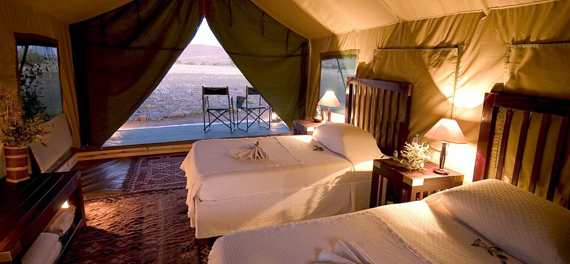 Desert Rhino Camp - Guest Tent