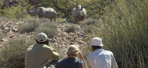 Desert Rhino Camp - Walking Safari
