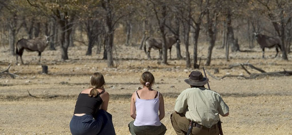Ongava Lodge - Walking Safari