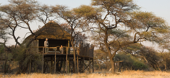 Onguma Tree Top Camp - Tree House