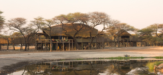 Onguma Tree Top Camp
