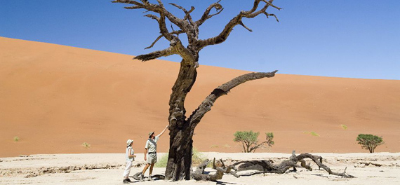 Kulala Wilderness Camp - Deadvlei