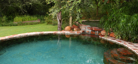 Waterberg Wilderness Lodge - Swimming Pool