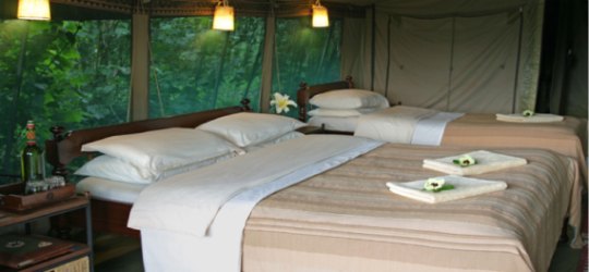 Rekero Camp