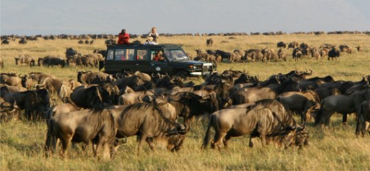 Rekero Camp