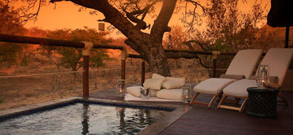 Pool at Royal Madikwe