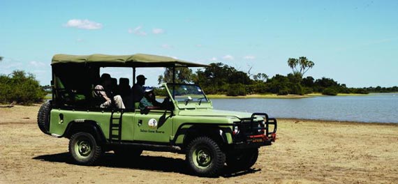 Game Drive, Rufiji River Camp