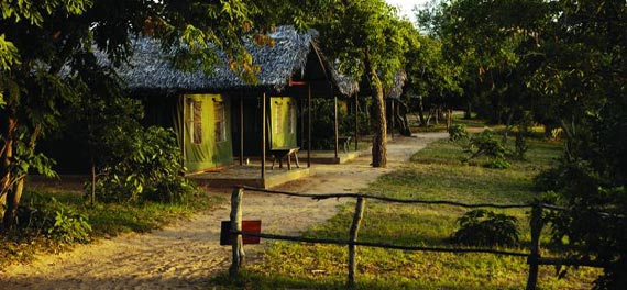 Tented Room at Rufiji River Camp