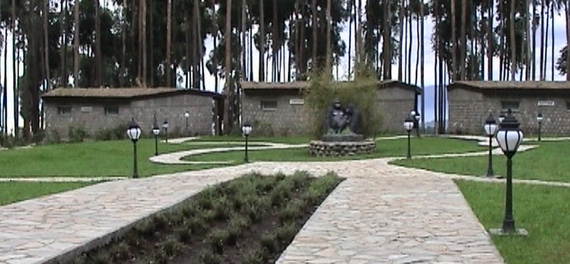 Gorilla Nest Hotel - Cottages