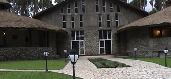 Gorilla Nest Hotel