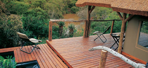 Luxury Tent at Bayethe Tented Camp